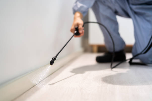 Licensed Pest Control service in Tuolumne City, CA - Show Me Pest Control