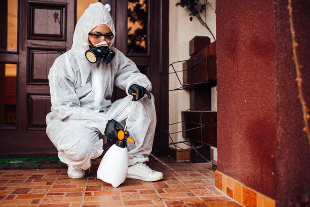 Reliable Wasp Removal contractor in Tuolumne City, CA by Show Me Pest Control